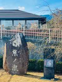 【静岡県】大迫力‼️数百の絹糸のような滝✨
