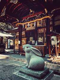 【京都】“うさぎ神社”で縁結び＆子授け祈願🐇✨