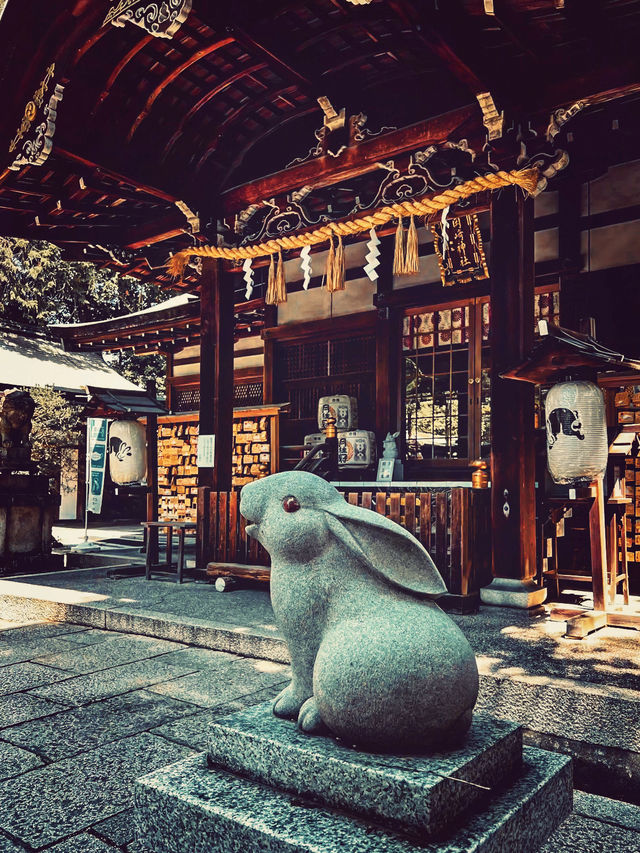 【京都】“うさぎ神社”で縁結び＆子授け祈願🐇✨