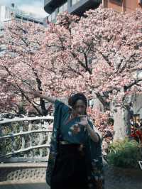 You must visit Atami for the Earliest Sakura near Tokyo! 