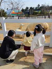 설 연휴에는 가족여행 추천지! 동물 먹이체험, 눈썰매, 키즈카페 모두 가능해요:)