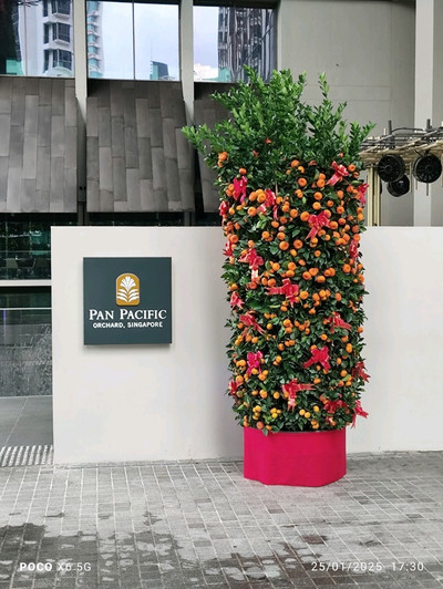 Pan Pacific Orchard Lobby | Trip.com Singapore