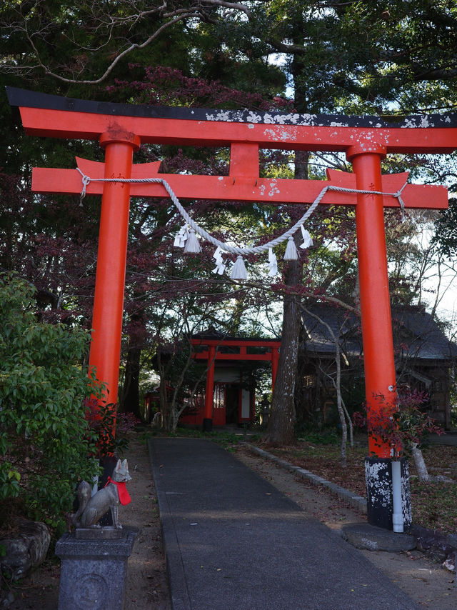 📍 久礼八幡宮/高知