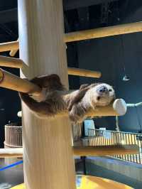 新感覚の水族館 DMMかりゆし水族館 【豊見城】
