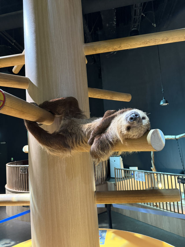 新感覚の水族館 DMMかりゆし水族館 【豊見城】