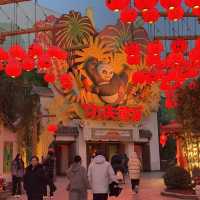 Universal Studio Beijing🎢