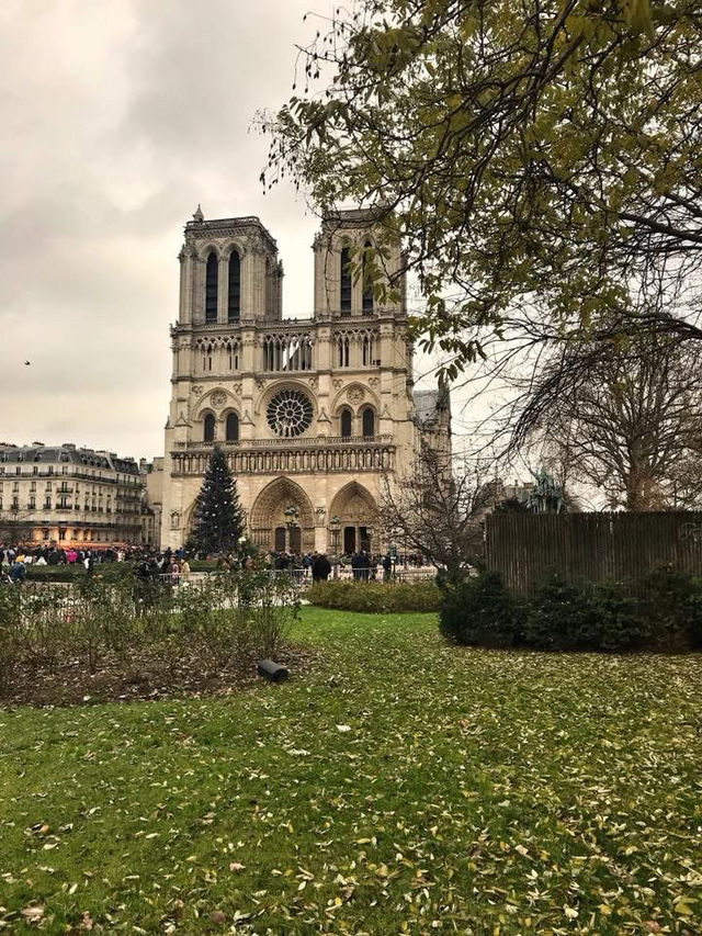 🇫🇷The Iconic Notre Dame Cathedral in Paris🇫🇷