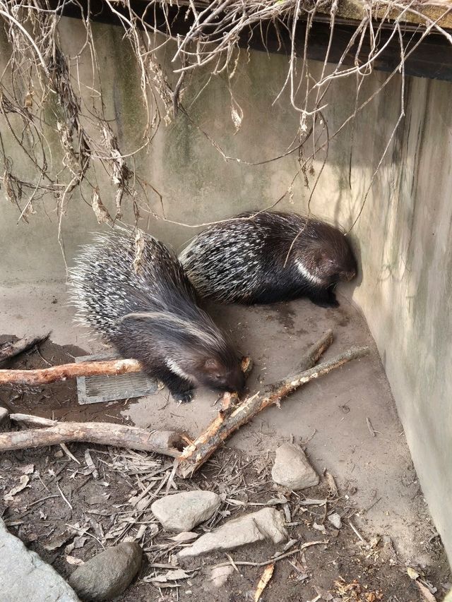 Nagasaki Bio Park