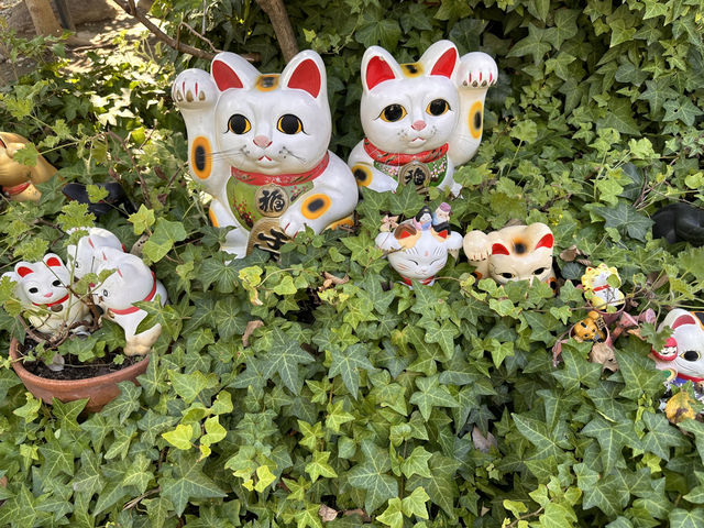尋找東京🇯🇵招財貓🐱之旅(一)