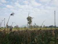Hong Kong’s Hidden Wetlands: Our Nam Sang Wai Cycling Trip