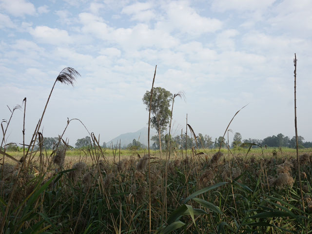 Hong Kong’s Hidden Wetlands: Our Nam Sang Wai Cycling Trip