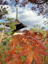 京都｜盡顯禪意之美-常寂光寺 風水布局與神佛傳說