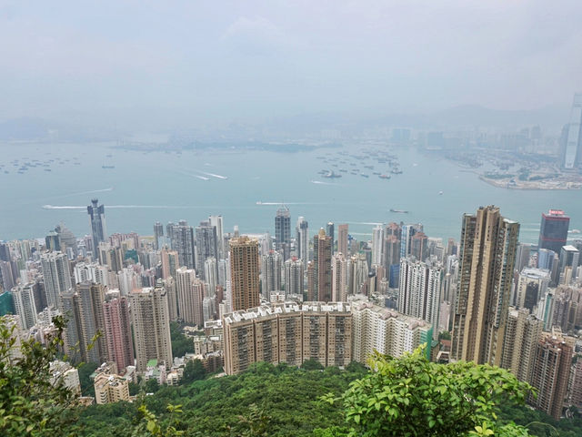 The Road Less Traveled: Lugard Road Lookout Near Victoria Peak