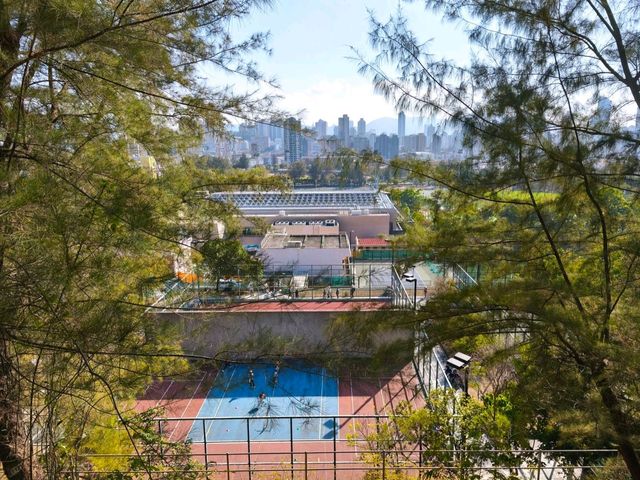 水庫公園對上的小小格仔山丘