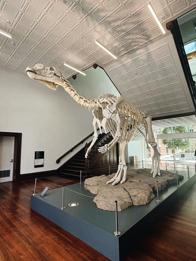 WA Museum Boola Bardip