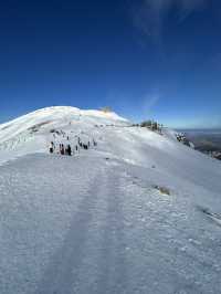A Perfect Day in Zakopane: Mountains, Markets, and Tradition”
