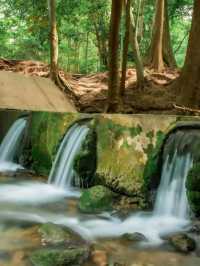 น้ำผุดธรรมชาติเขาใหญ่ , ปากช่อง