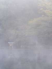 【大分県/由布市】金鱗湖半で期間限定の絶景に出会う