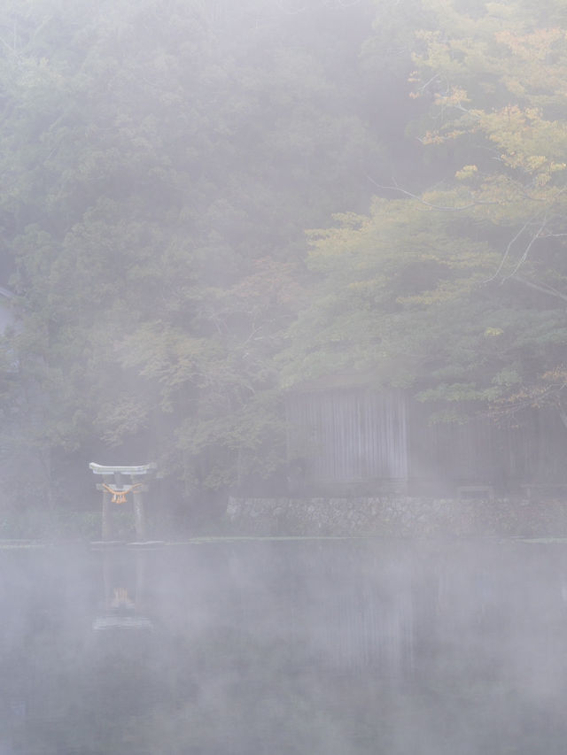 【大分県/由布市】金鱗湖半で期間限定の絶景に出会う