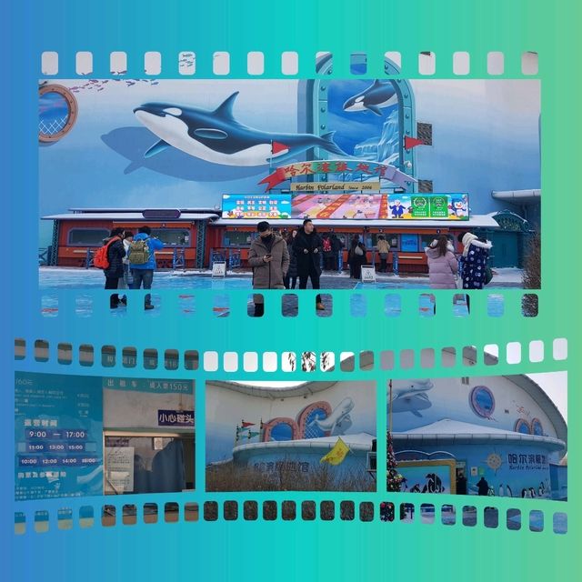 แจกแพลนเที่ยว🧳 Harbin Polarland&Snow Sculpture 1D