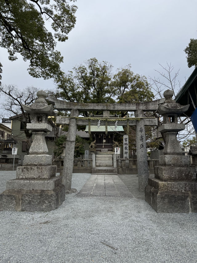 【福岡観光】御神木の大きさに驚き🌳地元で愛される神社⛩