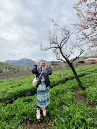 Experience Travel like a Local in Kyrgyzstan 😍