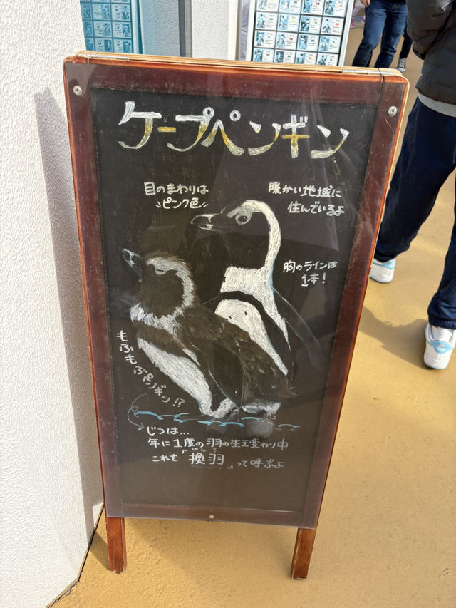 四國水族舘