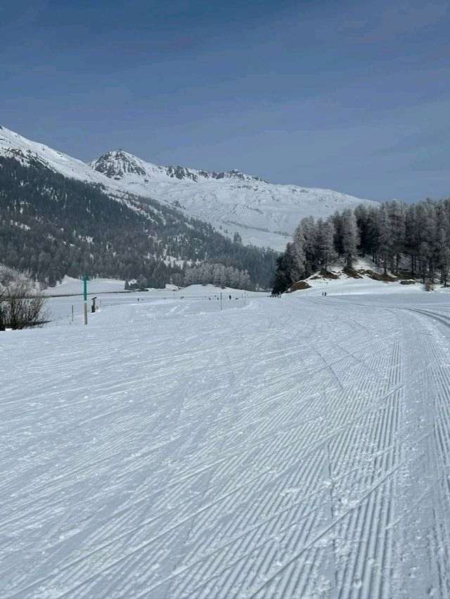 Ski Day at St. Moritz: Alpine Bliss
