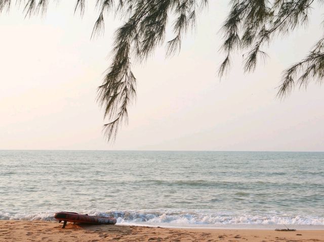 Mollusc Glamping ที่พักติดทะเล