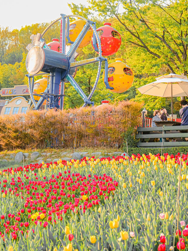 봄에 튤립 보고 싶다면 여기 추천해요 🌷