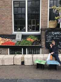 Holland's Tulip Trails: A Stunning Spring Escape