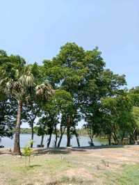 พักผ่อนหย่อนใจ ที่ สวนสาธารณะบึงหนองบอน