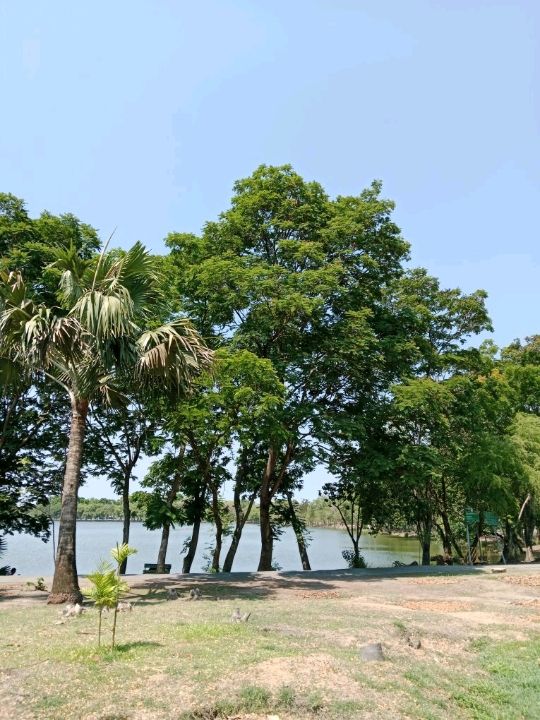 พักผ่อนหย่อนใจ ที่ สวนสาธารณะบึงหนองบอน