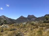 4-Day Tasmania Itinerary: Mountains, Wildlife & Lavender Fields 💜