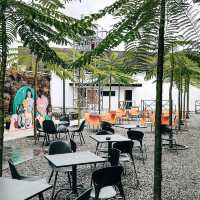 Tetra Coffee in Jogja