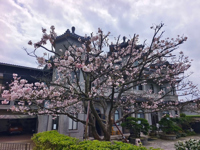 東方寺賞櫻美景