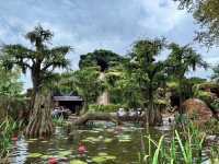 フロリダ🇺🇸 Tiana's Bayou Adventure