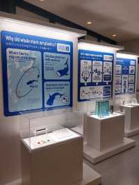 Osaka Aquarium – Underwater Wonderland! 