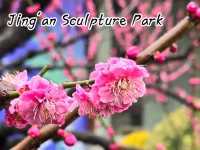 ซากุระ @Jing'an Sculpture Park