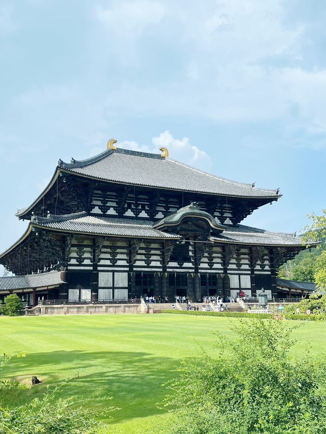 關西11日遊（下）