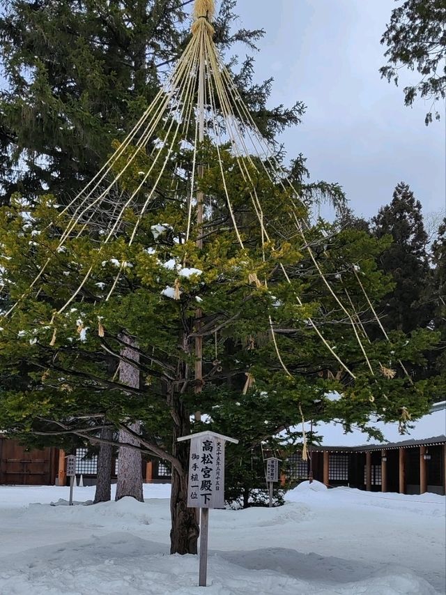 札幌春雪~圓山公園與北海道神宮