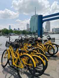 รีวิวทัวร์ปั่นจักรยานกับ Co van Kessel 