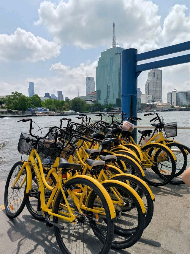 รีวิวทัวร์ปั่นจักรยานกับ Co van Kessel 