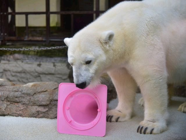 活力 . 愛媛県立とべ動物園