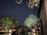 A Second Visit, A Thousand More Sparks: Wuzhen After Dark