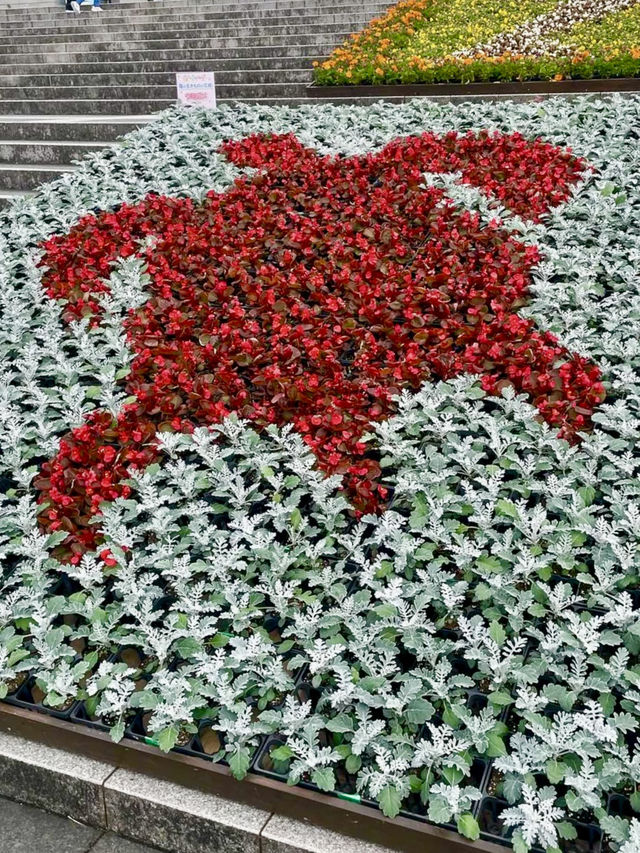 Blooming Beauty at Ocean Expo Park