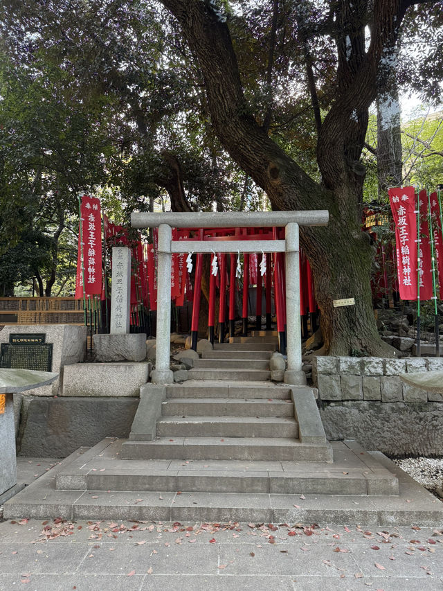Spring Outing at Nogizaka Shrine – A Hidden Sakura Haven