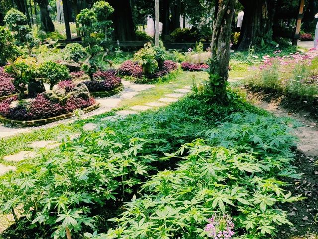 泰國清邁著名公園景點：Dantewada 天使之地瀑布公園，適合打卡拍照📸親子遊
