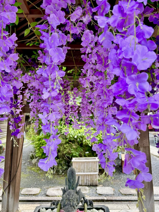 Spring Visit to Yanagidani Kannon Yōkoku-ji – A Hidden Floral Sanctuary in Kyoto