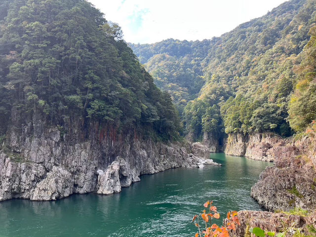 十津川の美しい船旅と絶景 🚢🌄